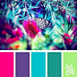 Spring color ideas | 25 color palettes inspired by the PANTONE color trend predictions for Spring 2018 – Use these color schemes as inspiration for your next colorful project! Check out more color schemes at www.sarahrenaeclark.com _设计理论（辅助、工具、咨询）_T201931