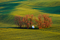 South Moravia : The rolling fields of South Moravia, Czech Republic. You can find information about a landscape photography workshop in this area at http://Czech.photos