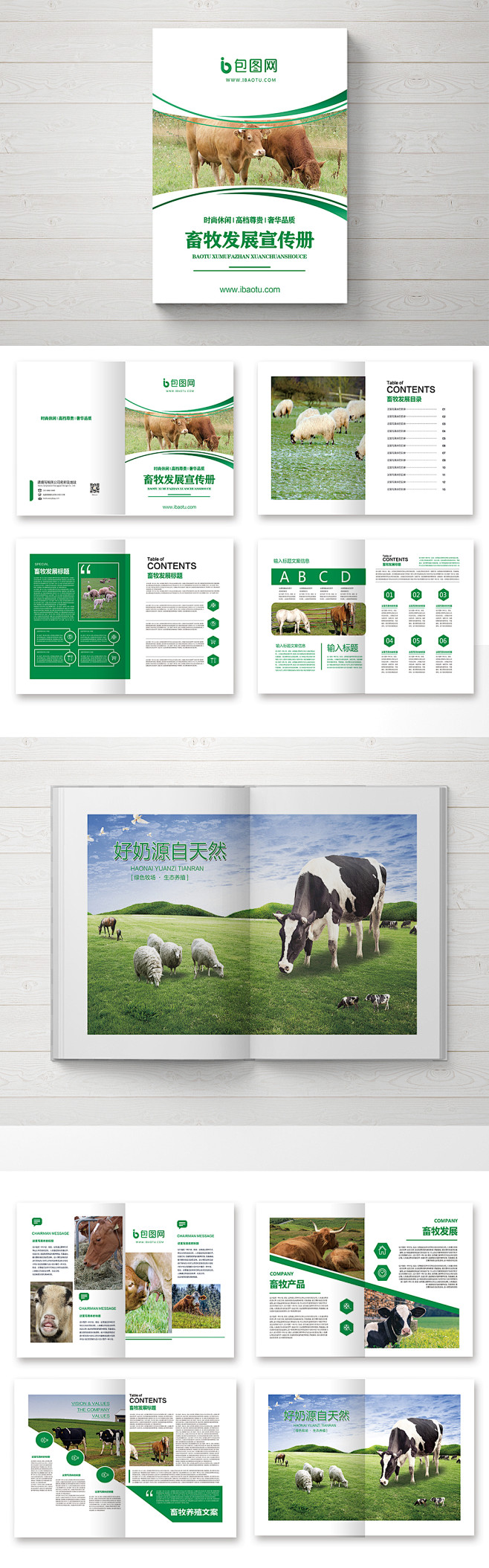 062 整套新版畜牧业发展画册