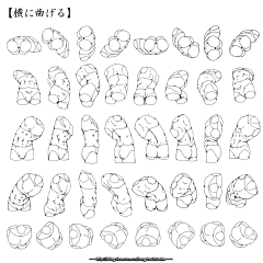 贝吉他采集到【人体】解剖-速写结构-绘画体型