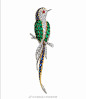巴黎「梵克雅宝 L'Ecole 珠宝艺术学院」举办的一个以飞鸟为主题的珠宝展——「Paradis d’oiseaux」，呈现19至20世纪的一系列标志性胸针作品~
珠宝超话
cr.iDailyJewelry