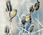 穿梭于四季的小鸟。丨来自美国艺术家Susan Bourdet