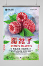 新鲜水果覆盆子海报