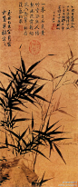  元 顾安《拳石新篁图》--- 此图画新竹几枝和荆棘一丛，笔法劲利，墨气浓润，表现出新竹破土而出的欣欣向荣之势，是顾安墨竹精品