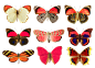 Butterflies png by *AbsurdWordPreferred on deviantART