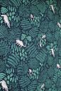 Amazona (Pattern) : Wallpaper pattern in two colour schemes.