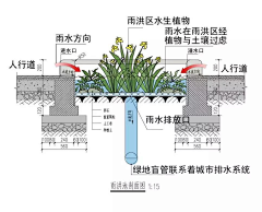 朕安采集到海绵城市