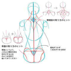 布言空采集到人物结构