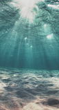 海底的静
海底的音
海底的美