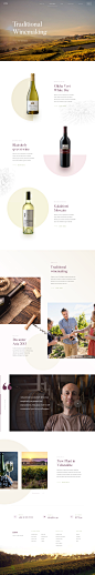 Winery - Landing Page
by Martin Strba for Balkan Brothers