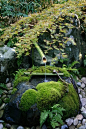 Japanese garden