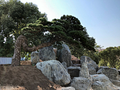 秋武凯俊采集到庭院/私家花园