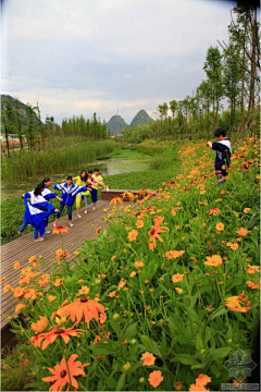 江少盛采集到河道景观