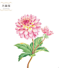 花绘 插画 手绘 小清新 色铅笔  植物  栽培