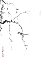 中国古风水墨柳树柳枝PNG免抠透明图片 后期美化背景装饰设计素材 (74)