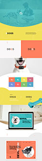 Dogs : This project is about dogs, about the love to the animals. It’s a reminder to all of us about the love that we should give to our four-legged friends.All rights of images are owned by their owners and used only for presentation. Project is non-comm