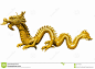 图片：Dragon Chinois D'or Géant Sur Le Fond D'isolat Image stock - Image ... : 在 Google 上搜索到的图片（来源：fr.dreamstime.com）
