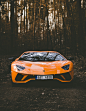 Car, tree, lamborghini and vehicle HD photo by Marcus P. (@marcusp) on Unsplash : Download this photo by Marcus P. (@marcusp)