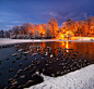 Photograph Hillsborough lake 