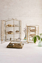 Glass House Display Box - Urban Outfitters: