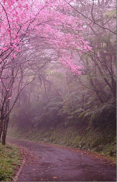 行在路上，邂逅的不仅仅是尘世风景，更是触...