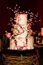 分分钟激发你的少女心 甜蜜与美感兼备的樱花婚礼蛋糕+来自：婚礼时光——关注婚礼的一切，分享最美好的时光。#樱花# #婚礼蛋糕#