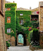 Ivy Archway, Provence, France