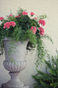 FLOWERING URNS IN DECOR FOR SPRING - Hadley Court blog (2):