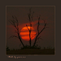 crescentmoon06:

Sunset 3 by ~yasir2007
