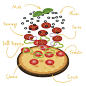 Vector illustration of pizza infographics. Tasty pizza