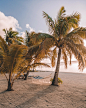 Away-Lands-Aitutaki-Cook-Islands-Travel-Instagram-Guide-053.webp