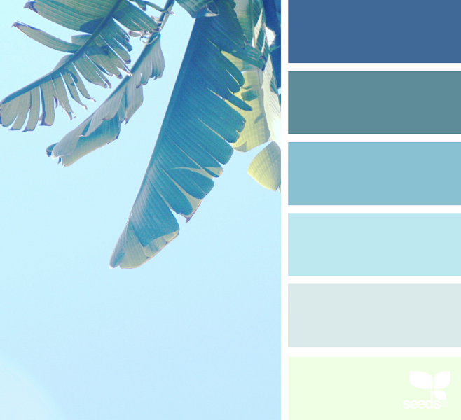 { tropical tones } i...