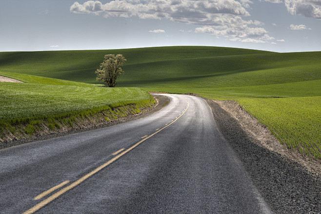 Photograph Palouse B...