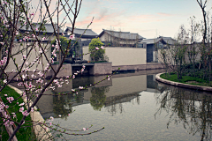 爱酱采集到庭院