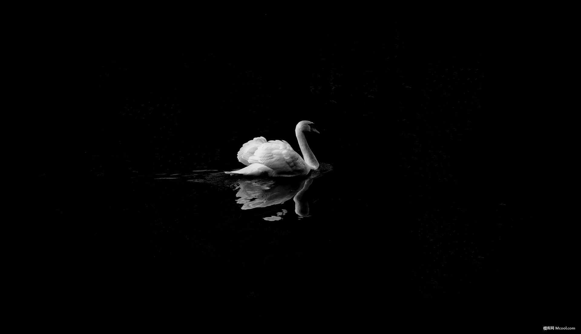 64ddc25921abfb5fde9eec0a0b82fb39dac4bab5afa2-ZGuzF1