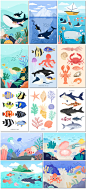 卡通海洋生物动物海底世界插画海报设计psd模板素材
