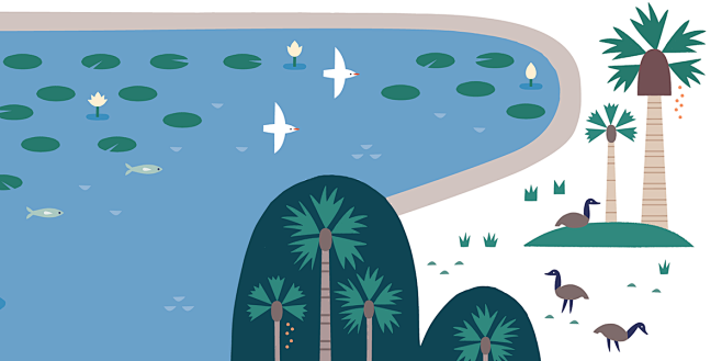 Echo Park Lake Map :...