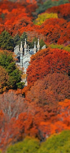 班干部管班干部采集到风景