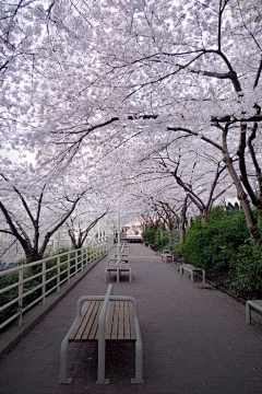 蝉鸣223采集到日式场景