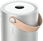 Molekule the Molecular Air Purifier