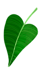 [ 乐分享 ] PNG高清免植物 
