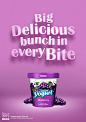 Nestle-Frozen Yogurt : Nestle-Frozen Yogurt
