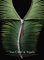 Van Cleef & Arpels Diamond Zipper Necklace from the Zip Collection. "ZIP" Print Ad  by Avrett Free Ginsberg (=)