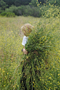 Picking flowers