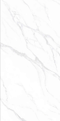 9-VPG2412A016 嘉仕白-岩板系列-威尔斯陶瓷/岩板官网