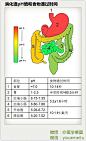 医学基础 l 消化道pH值和食物通过时间