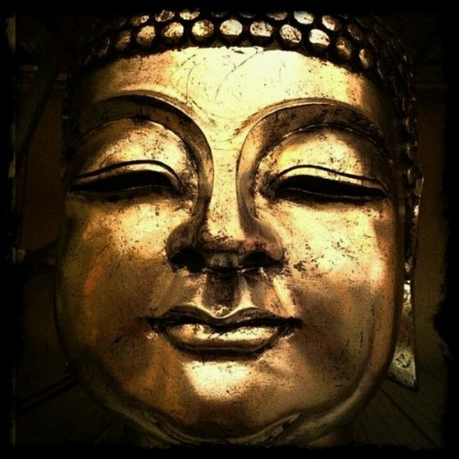 Buddha love