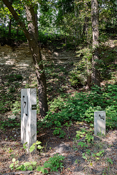 Pannno采集到导视 Signage system