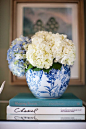 Blue and white hydrangeas.: 