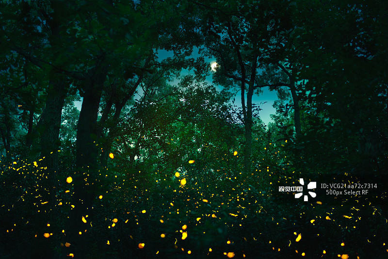 657bcde84e106bfc8b8619e3390a485182fea2633b473-sCradP